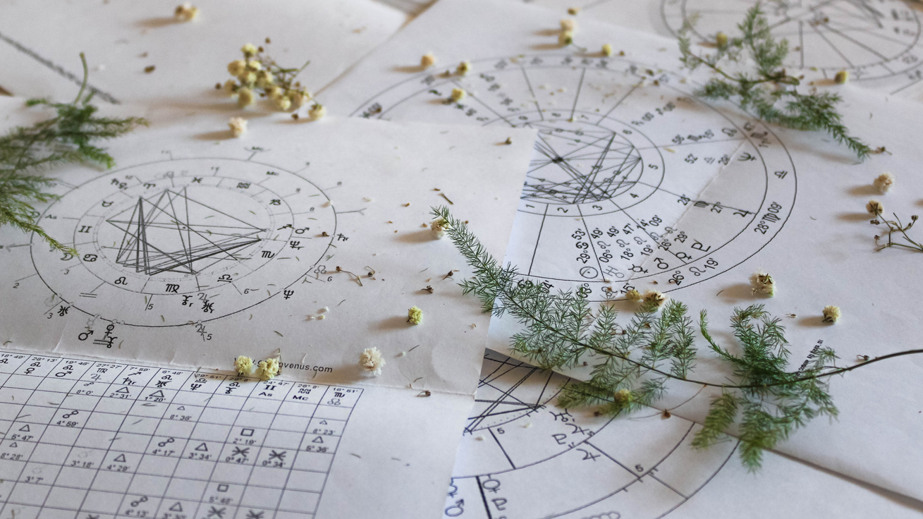 Printed astrology natal charts with small yellow flowers and fragile green plant branches, astrology report background